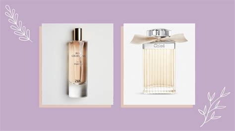 perfumes similar to chloe|zara chloe dupe.